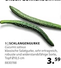 Gurken im Dehner Garten-Center Prospekt Schlangengurke im aktuellen Dehner Garten-Center Prospekt für 3,59 €