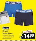 Herren-Boxer-Shorts im aktuellen Prospekt bei famila Nordost in Kattendorf