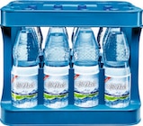 Netto Marken-Discount Rain - Mineralwasser Angebot im Prospekt Mineralwasser bei Netto Marken-Discount im Rain Prospekt für 3,33 €