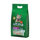 Croquettes pour chats stérilisés à Carrefour Market dans Sotta