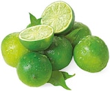 Limetten von REWE Beste Wahl für 0,99 € bei REWE im Angebot Limetten von REWE Beste Wahl im aktuellen REWE Prospekt