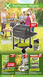 Raiffeisenmarkt Prospekt mit 12 Seiten (Drensteinfurt)