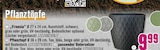 Pflanztopf im Angebot bei Hornbach in Salzgitter Pflanztopf Angebote bei Hornbach Salzgitter für 9,99 €