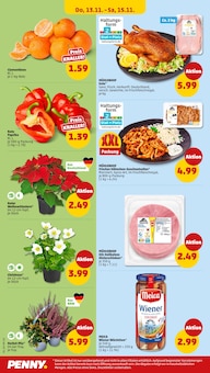 Gemüse im aktuellen Penny Prospekt (Moers) Gemüse im Penny Prospekt "Wer günstig will, muss Penny." mit 41 Seiten (Moers)