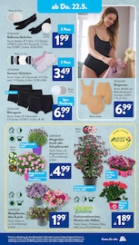 Strümpfe im ALDI SÜD Prospekt in Koblenz Aktueller ALDI SÜD Prospekt mit Strümpfe, "Gutes für Alle.", Seite 19