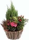 Composition d'automne en promo chez Lidl Saint-Maur-des-Fossés à 16,99 €