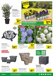 Pflanzenroller Angebot im aktuellen Hagebaumarkt Prospekt auf Seite 19