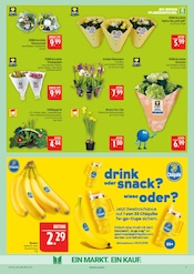 Tulpen im Marktkauf Prospekt in Altenburg Aktueller Marktkauf Prospekt mit Tulpen, "AUSWAHL RIESIG, PREISE NIEDRIG", Seite 9