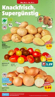 Kartoffeln im aktuellen Penny Prospekt (Potsdam) Kartoffeln im Penny Prospekt "Wer günstig will, muss Penny." mit 46 Seiten (Potsdam)