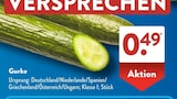 ALDI SÜD - Gurke Angebot im Prospekt Gurke bei ALDI SÜD im Prospekt "" für 0,49 €