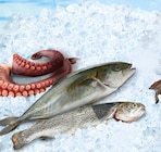 Aktuelle Lachs Angebote bei Netto Marken-Discount in Ingolstadt Aktuelles Kingfish Angebot bei Netto Marken-Discount in Ingolstadt ab 1,99 €