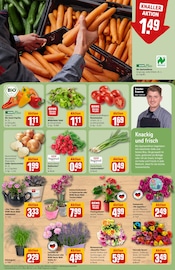Ähnliche Erdbeerpflanzen Angebote im Prospekt "Dein Markt" von REWE in Heidelberg Ähnliche Angebote wie Erdbeerpflanzen im Prospekt "Dein Markt" auf Seite 9 von REWE in Heidelberg