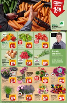 Pflanzen im REWE Prospekt "Dein Markt" mit 34 Seiten (Heidelberg)