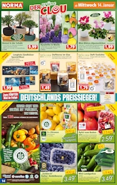 Aktueller Norma Prospekt mit Glas, "Mehr fürs Geld", Seite 14