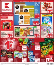 Aktueller Kaufland Supermarkt Prospekt in Hameln und Umgebung, "Aktuelle Angebote" mit 36 Seiten, 31.07.2025 - 06.08.2025