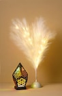 Pampasgras mit LED oder LED-Lampe „Boho“ von dekorado für 7,99 € bei Netto mit dem Scottie im Angebot Pampasgras mit LED oder LED-Lampe „Boho“ von dekorado im aktuellen Netto mit dem Scottie Prospekt
