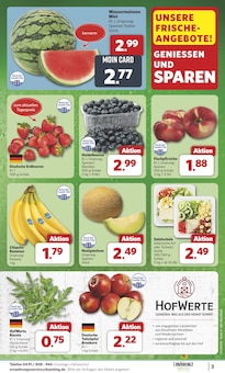 Bananen im aktuellen combi Prospekt (Paderborn) Bananen im combi Prospekt "Markt - Angebote" mit 34 Seiten (Paderborn)