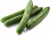 Gurken im aktuellen Netto Marken-Discount Prospekt für 0,66 €