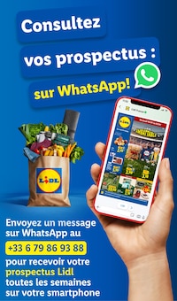 Catalogue Lidl, 16/07/2026 - 22/07/2026, L'ÉTÉ IMBATTABLE, 61 pages Prospectus Lidl en cours, "L'ÉTÉ IMBATTABLE", 61 pages