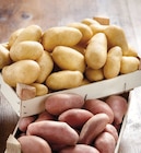 Pommes de terre de consommation à chair ferme dans le catalogue Netto