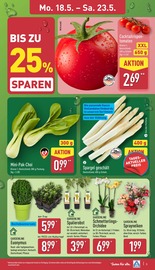 Zimmerpflanzen im ALDI Nord Prospekt in Bremen Aktueller ALDI Nord Prospekt mit Zimmerpflanzen, "Aktuelle Angebote", Seite 3