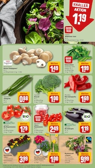 Pflanzen im REWE Prospekt "Dein Markt" mit 16 Seiten (Freiburg (Breisgau))