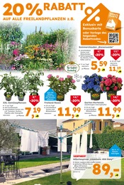 Ähnliche Bügelbrett Angebote im Prospekt "Immer eine Idee besser" von Globus-Baumarkt in Ingolstadt Ähnliche Angebote wie Bügelbrett im Prospekt "Immer eine Idee besser" auf Seite 4 von Globus-Baumarkt in Ingolstadt