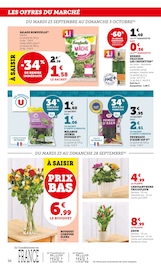 Chrysanthèmes Angebote im Prospekt "Super U" von Super U auf Seite 36