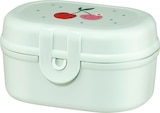 Aktuelles Snackbox Mini mint Kirschen Angebot bei dm-drogerie markt in Bonn ab 2,95 €