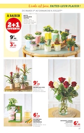 Plante Verte Angebote im Prospekt "Super U" von Super U auf Seite 17