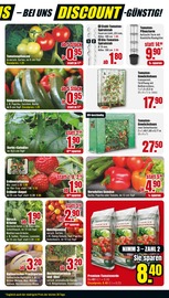 Aktueller B1 Discount Baumarkt Prospekt mit Erdbeerpflanzen, "BESTPREISE DER WOCHE!", Seite 9