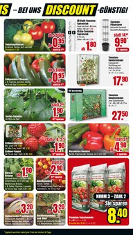 Erdbeerpflanzen im B1 Discount Baumarkt Prospekt "BESTPREISE DER WOCHE!" mit 12 Seiten (Mannheim)