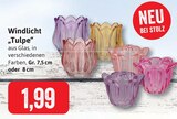Aktuelles Windlicht Tulpe Angebot bei Kaufhaus Stolz in Bremerhaven ab 1,99 €