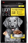 Herzhafte Brocken Angebote von Lucky Dog bei Penny Dormagen für 9,99 €