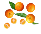 Kaufland Barsinghausen Prospekt mit  im Angebot für 3,99 €