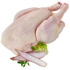 Frisches ganzes Hähnchen im Angebot bei REWE in Neuwied Frisches ganzes Hähnchen Angebote von FairMast bei REWE Neuwied für 7,90 €