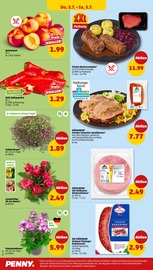 Rinderrouladen im Penny Prospekt in Köln Aktueller Penny Prospekt mit Rinderrouladen, "Wer günstig will, muss Penny.", Seite 32