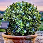 Aktuelle Led lichterkette Angebote bei Thomas Philipps in Köln Aktuelles Solar-LED-Lichterkette L ca. 6,10 m Angebot bei Thomas Philipps in Köln ab 4,98 €
