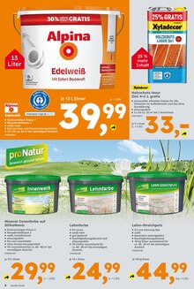 Farbe im Globus-Baumarkt Prospekt "Immer eine Idee besser" mit 10 Seiten (Heidelberg)