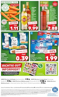 Rum im Kaufland Prospekt "KNÜLLER" mit 56 Seiten (Bochum)