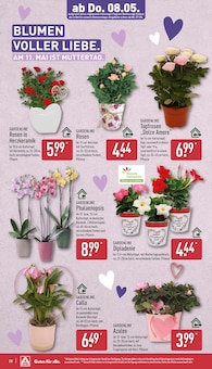 Rhododendron Angebot im ALDI Nord Prospekt, gültig von 05.05.2025 bis 10.05.2025 Rhododendron Angebot im aktuellen ALDI Nord Prospekt auf Seite 30