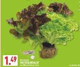 Aktuelles Multicolorsalat Angebot bei Marktkauf in Bielefeld ab 1,49 €