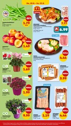 Braten im Penny Prospekt Braten im Penny Prospekt Wer gĂĽnstig will, muss Penny. auf S. 26