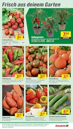Kartoffeln Angebot im aktuellen toom Baumarkt Prospekt auf Seite 5
