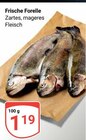Frische Forelle im Angebot bei GLOBUS in Speyer Frische Forelle Angebote bei GLOBUS Speyer für 1,19 €