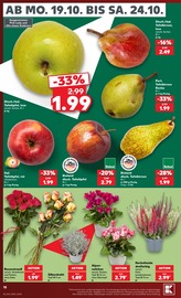 Blumen im Kaufland Prospekt in Schweinfurt Aktueller Kaufland Prospekt mit Blumen, "Hier bin ich richtig", Seite 22