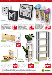 Ähnliche Angebote wie Regentonne im Prospekt "Aktuelle Angebote" auf Seite 37 von E center in Bietigheim-Bissingen
