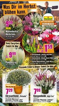 Blumentopf im aktuellen Hornbach Prospekt (Karlsruhe) Blumentopf im Hornbach Prospekt "Dir ist vieles Latte. Nur nicht Dein Garten." mit 33 Seiten (Karlsruhe)