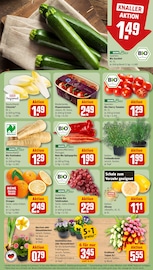 Tomaten im REWE Prospekt in Tübingen Aktueller REWE Prospekt mit Tomaten, "Dein Markt", Seite 9