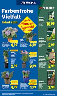 Pflanzen im Lidl Prospekt "LIDL LOHNT SICH" mit 69 Seiten (Jena)